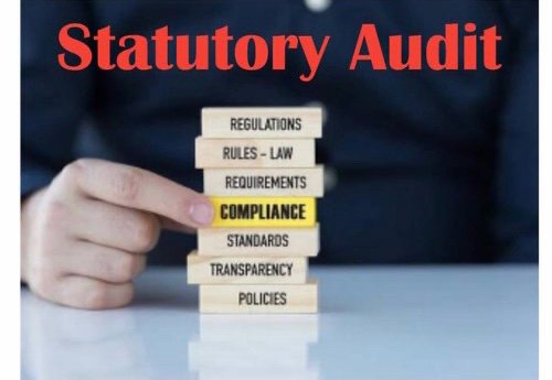 Statutory Auditors in Dubai, UAE